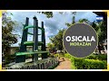 OSICALA en el Departamento de MORAZÁN es la CAPITAL DEL MAGUEY - EL SALVADOR 2023