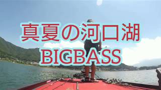 吉田尚晃 撮影　真夏の河口湖バス釣りビッグバス‼️