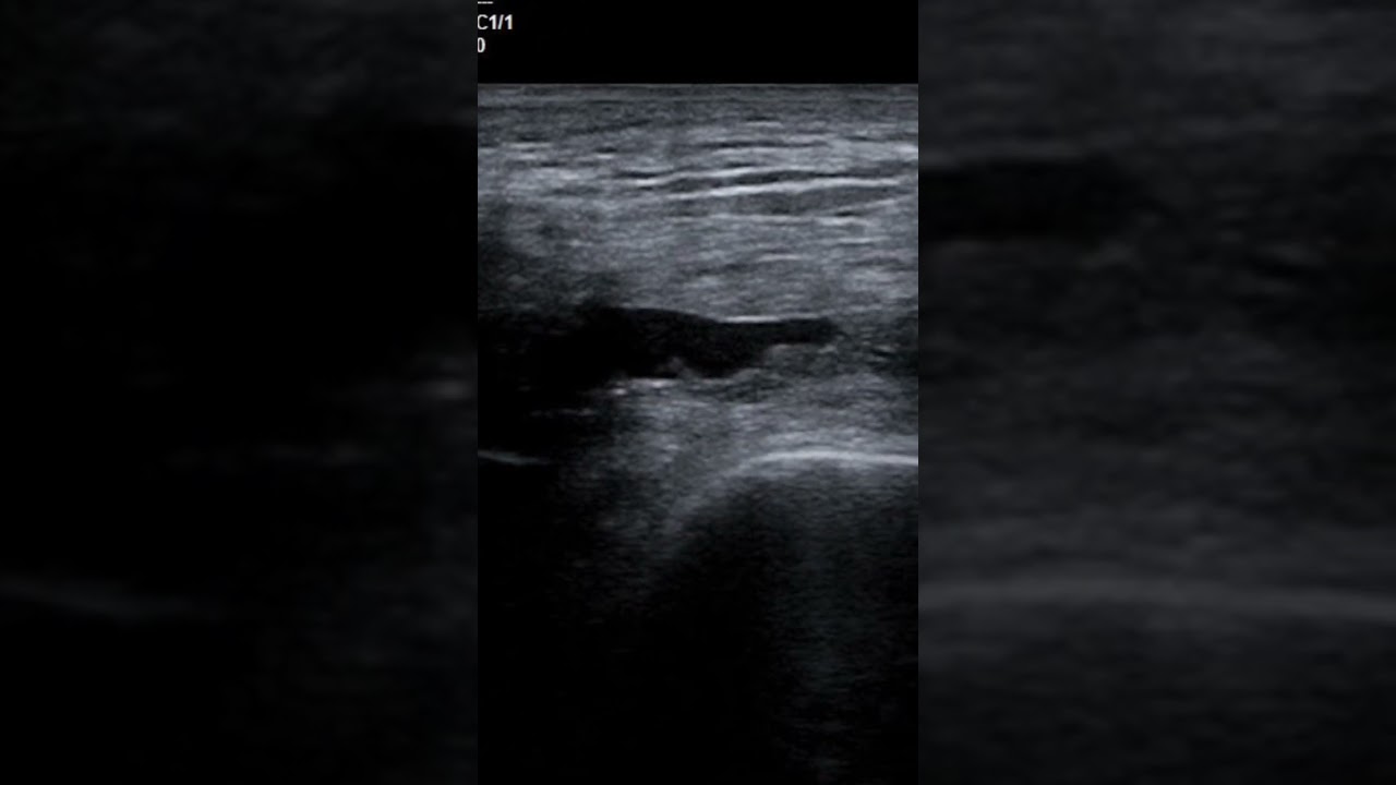 Roberto-Paolo Zambelli-29