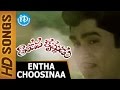 Entha Choosinaa Video Song Tandava Krishnudu Movie Nageswara Rao Jayaprada