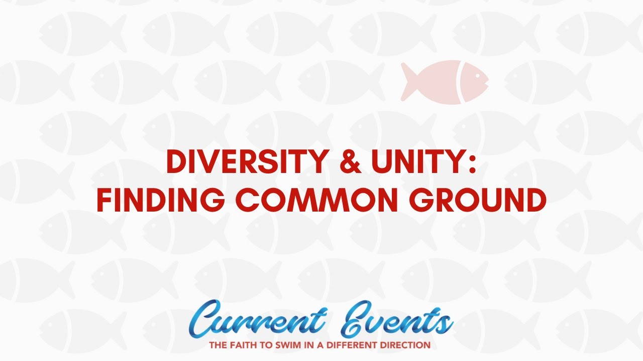 Diversity and Unity: Finding Common Ground