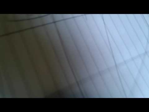 Papagaio Loiro - 5AMIGOZINHOS - Vol. 1