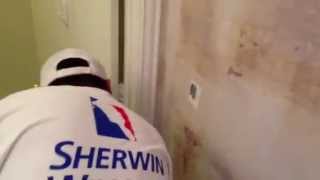 Sherwin Williams Interior Color SW 6710 Melange Green