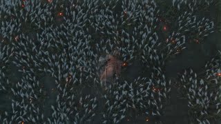 隻狼　SEKIRO　巴弦一郎〜剣聖葦名一心　HUD非表示苦難厄憑　初期身体力攻め力　忍具流派技アイテム縛り