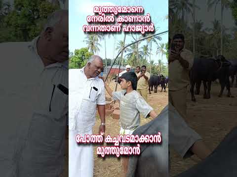 നേരിൽ കാണാൻ വന്നതാണ് ഹാജ്യാർ.. പോത്ത് കച്ചവടമാക്കാൻ മുത്തുമോൻ