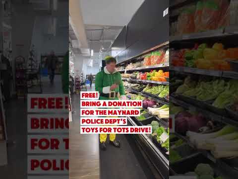Promotional video thumbnail 1 for Buddy the Elf (Boston)