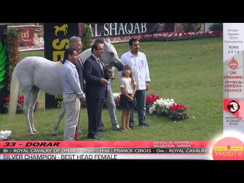 Highlights Roma 2014