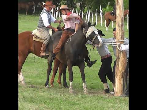 Broche de oro en Clina en San Javier Santa Fe Parte 2