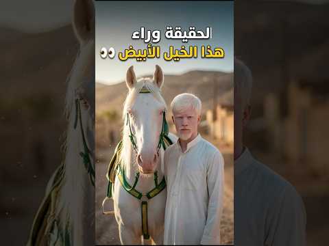 الحقيقة وراء الخيل الأبيض 👀🔥