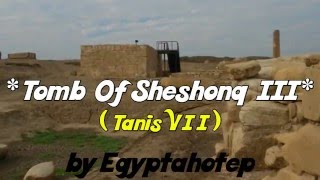 EGYPT 827 - Tomb of  SHESHONQ III - (by Egyptahotep)