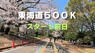 【東海道500K】Day0 スタート前日、駒沢公園でウォームアップラン　2026.04.03 #東海道五十三次ラン #サブ4 #サブ35