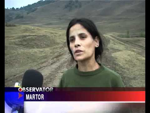 Copil batut crunt.flv