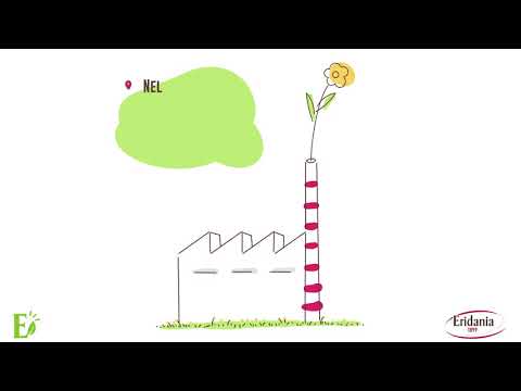 Eridania Green - Insieme per un futuro più sostenibile