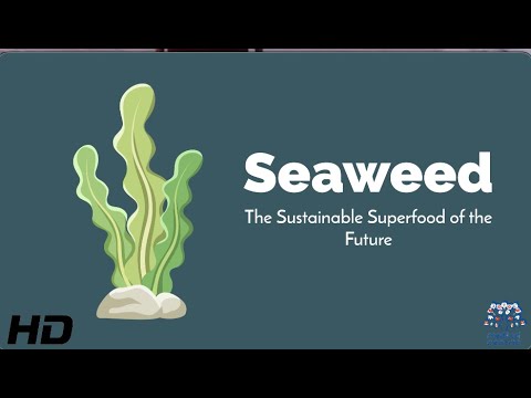 Seaweed: The Sustainable Superfood Revolution