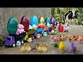 Colorful Surprise Eggs Cow Octopus Dinosaur Duck Love Bird Owl Squirrel Truck Thomas Train