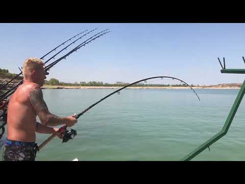 Big Catfish drill @ Ebro