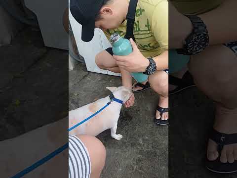 uhaw si gheela 100124