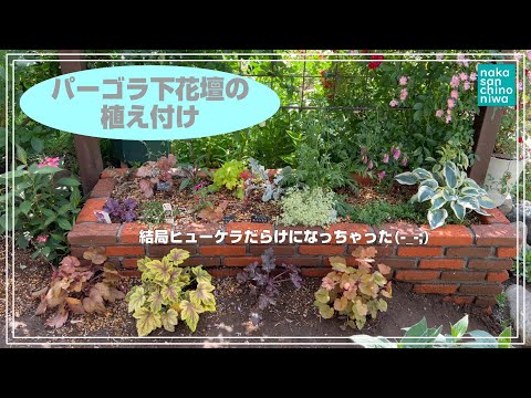 園芸 3葉のシモツケ