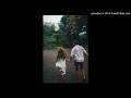 Flunk - Down