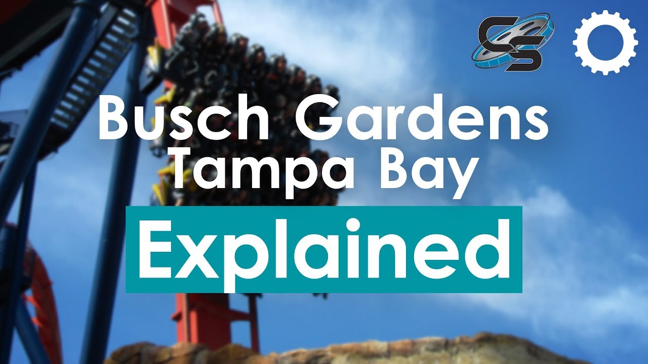 What is the capacity of Busch Gardens Tampa? Tipseri