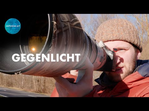 Vogelfotografie im Gegenlicht - Tipps und Tricks