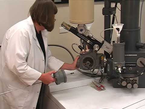 CryoSEM: Freezing Fresh Tissue in PreChamber