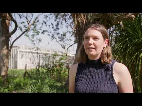 Introduction to BSc Agricultural Business Management  play video