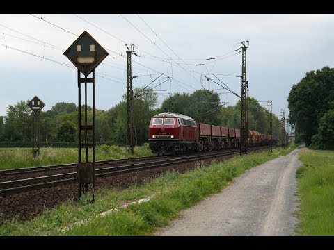 420 Überführung mit 110 469, Euronight, 218 455 und mehr an Rhein und Main!