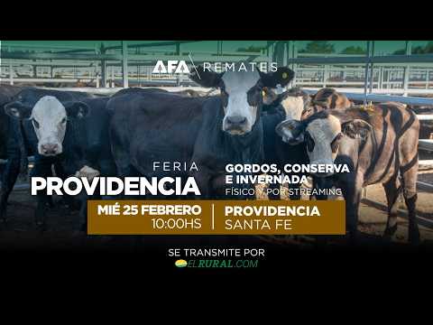 Remate AFA Gordos, Conserva e Invernada desde Providencia Santa Fe