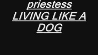 priestess-living like a dog