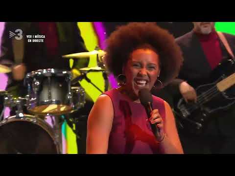 The Excitements / Mr. Landlord - Live at Euforia TV3