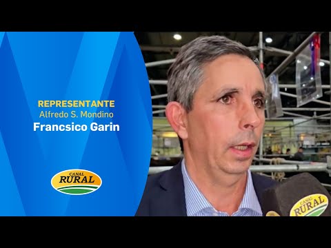 Francisco Garin | Tomorrow at 10 AM, auction on TV with 8,000 head of cattle | 10/14/25 | MV