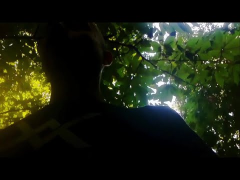 "THE OLD BLOOD" - Gabriele Panci (New Risen Throne)