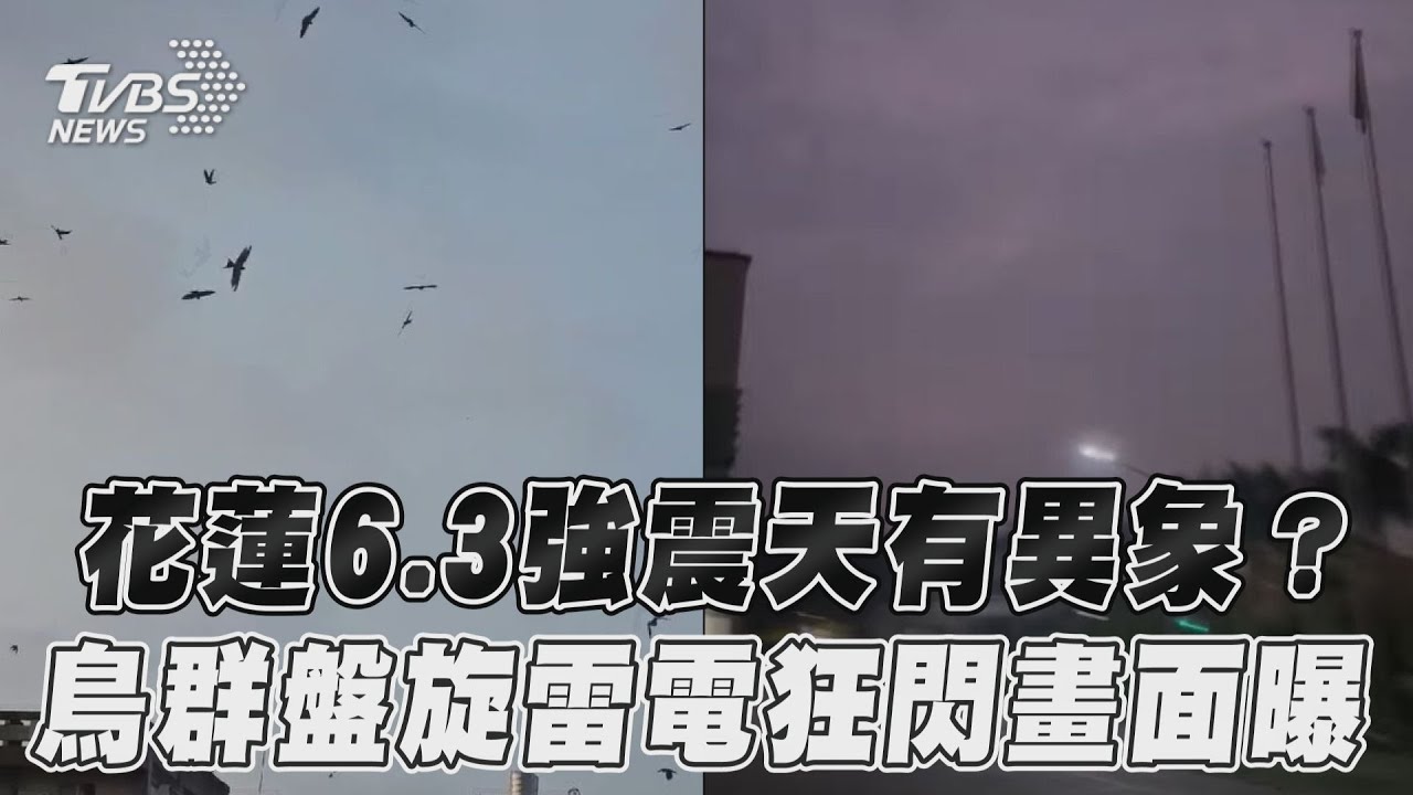 獨／強震預言？台南天空「百鳥繞圈」一片黑　詭譎畫面曝