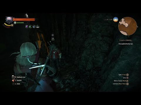 The Witcher 3: New Game+ Pt 48 Hunting a beast with a buddy