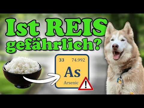 Arsenic in dog food: Am I poisoning my dog ​​with rice? ☠️ / Arsenic contamination from rice in f...