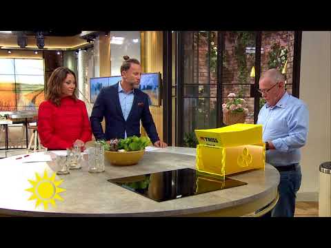 Här hinner Leif både skrapa triss och bjuda upp Tilde till dans! - Nyhetsmorgon (TV4)