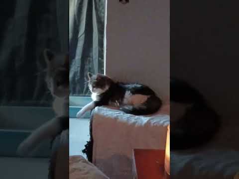 No Quiere masna ☕️🎶🎧😉👋👍