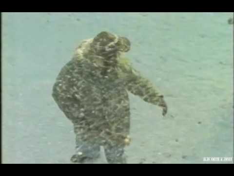 Alas Smith and Jones S05E02 - The Untreated Version