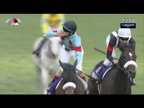 2020 Japan Cup G1 - Almond Eye (杏目) - C.Lemaire