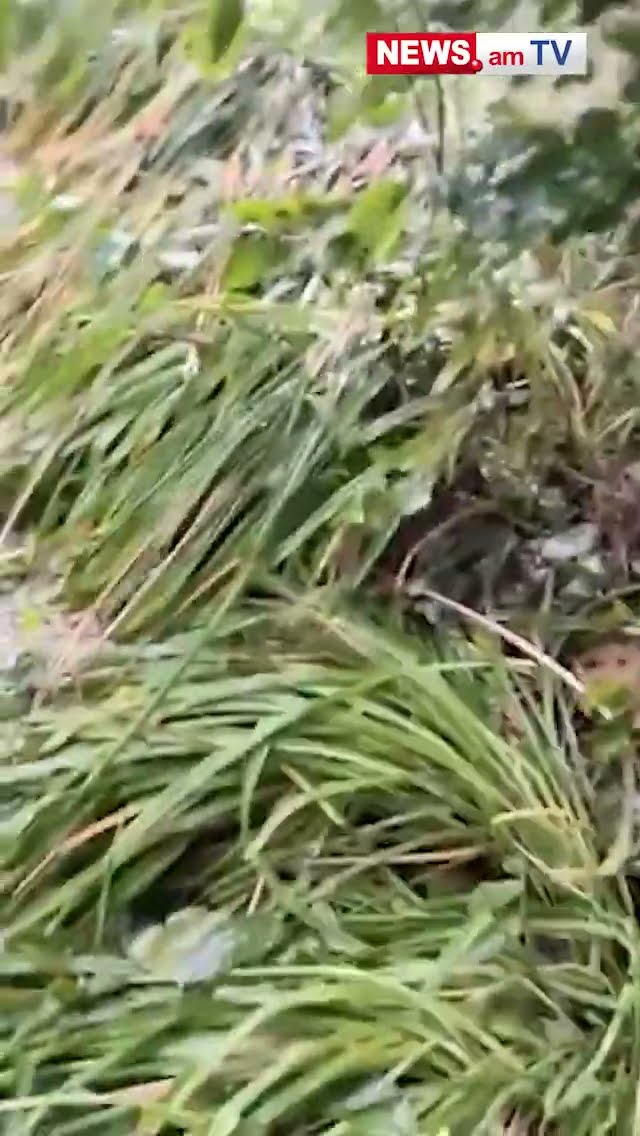 ՈւԺեղ կարկուտ եւ քամի Լորուտ գյուղում