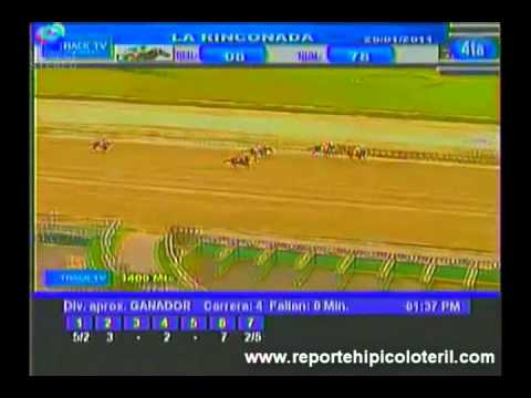 Resumen La Rinconada Sabado 29/01/2011