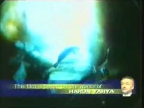 Mrekullia e Allahit - Te bota e akullt P3