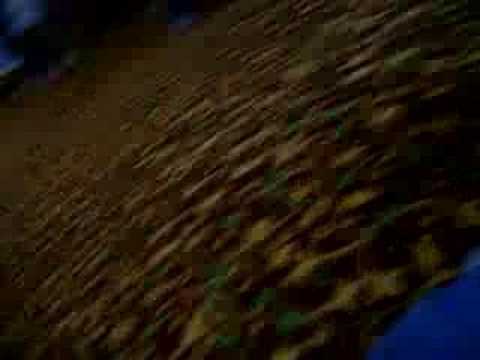 Sitting on the steps - Anime Punch 2007