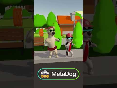 Rumba . Dog Dance. Funny dog video. #rumba #rumbacaliente #dance #funnydog