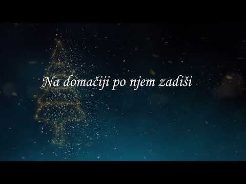 Ansambel Dveh dolin Božična radost