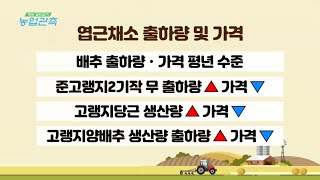 [영농길라잡이 농업관측] 10월 엽근채소