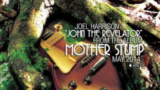 Joel Harrison - John The Revelator (AUDIO)