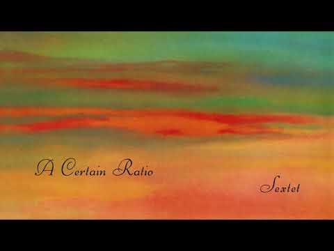 A Certain Ratio - Lucinda (Official Audio)