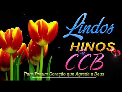 BELOS HINOS CCB 🌹 Hinário 5 🌷 Top Hinos Cantados CCB#